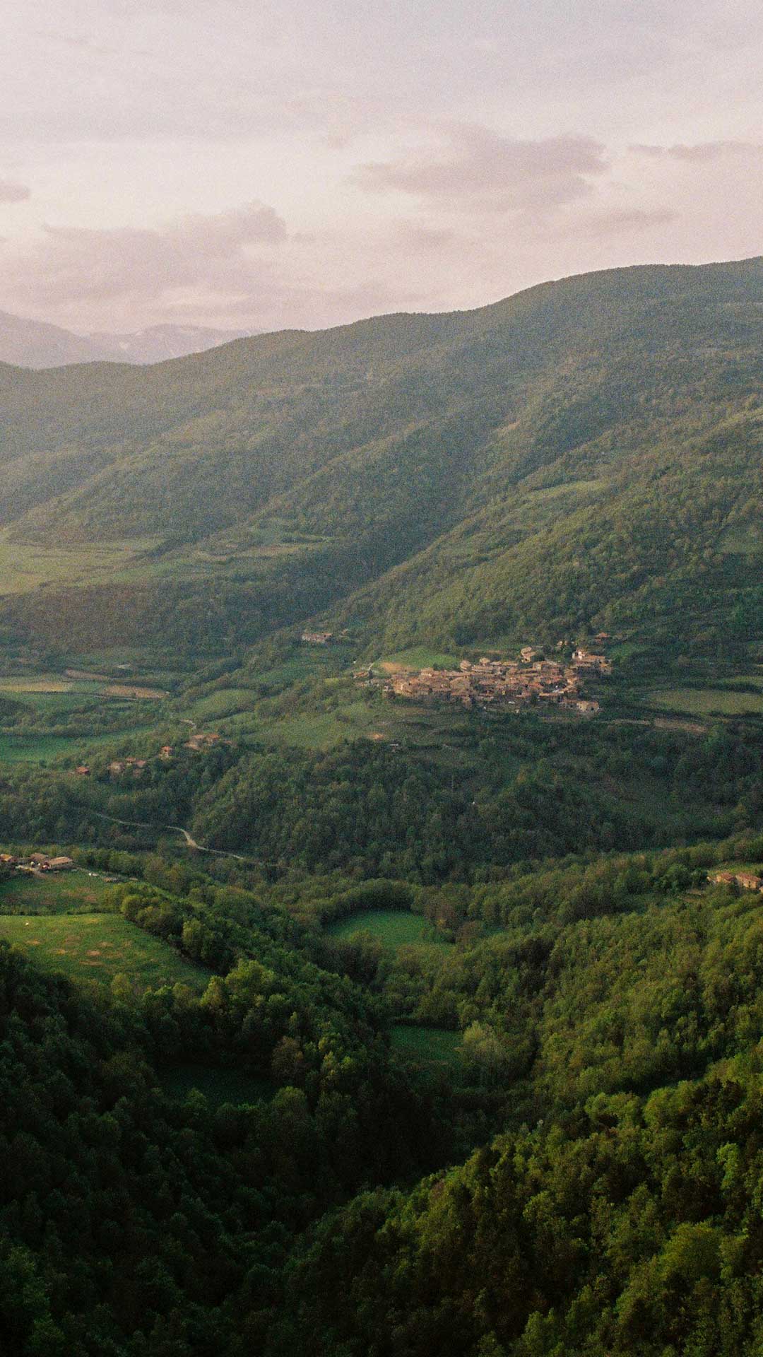 Camins i paisatge de muntanya a Pardines
